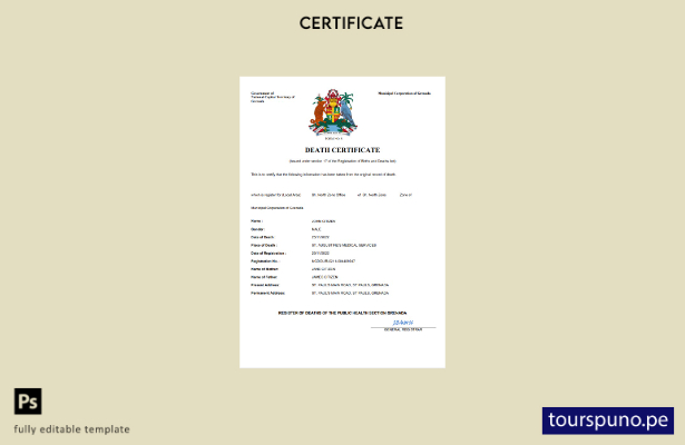 listo para imprimir Certificado de defunción del registro civil de Planta de Gra